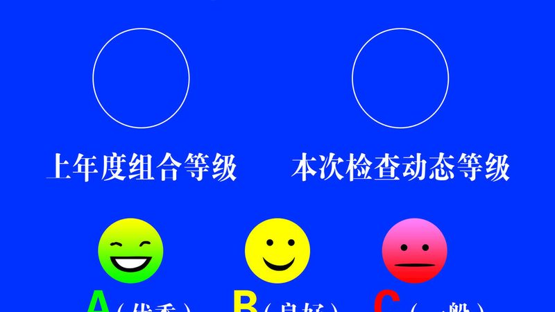 成都孕妇蜜饯果干：价格背后的营养与健康考量